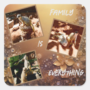 Sticker Carré La Famille rose Gold Meerkat Est Tout,