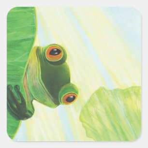 Sticker Carré La grenouille verte aux gros yeux derrière le pavé