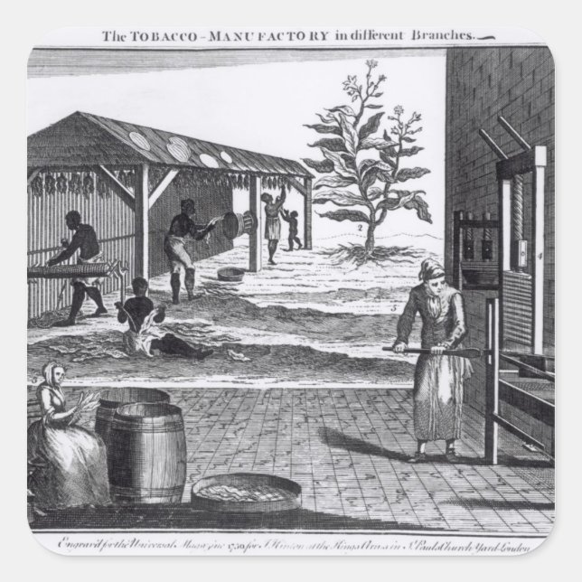 Sticker Carré La manufacture de tabac dans différentes branches (Devant)