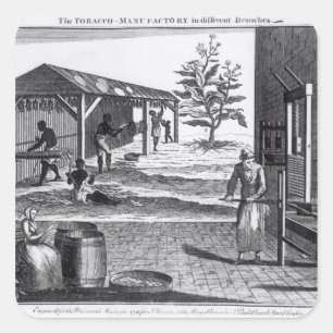 Sticker Carré La manufacture de tabac dans différentes branches