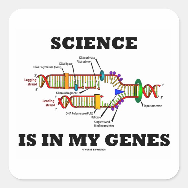 Sticker Carré La science est dans mes gènes (réplication de l'AD (Devant)