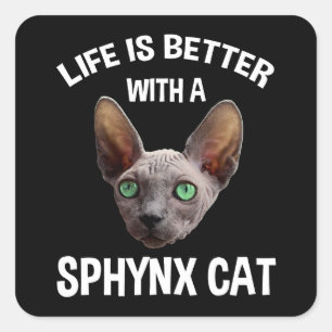 Sticker Carré La Vie Est Meilleure Avec Un Chat Sphynx