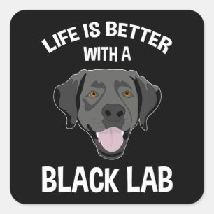 Sticker Carré La Vie Est Meilleure Avec Un Laboratoire Noir