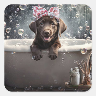 Sticker Carré Labrador Retriever chocolat mignon dans la baignoi