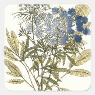 Sticker Carré Lacy Feuilles - Fleurs et verdure
