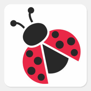 Sticker Carré Ladybug