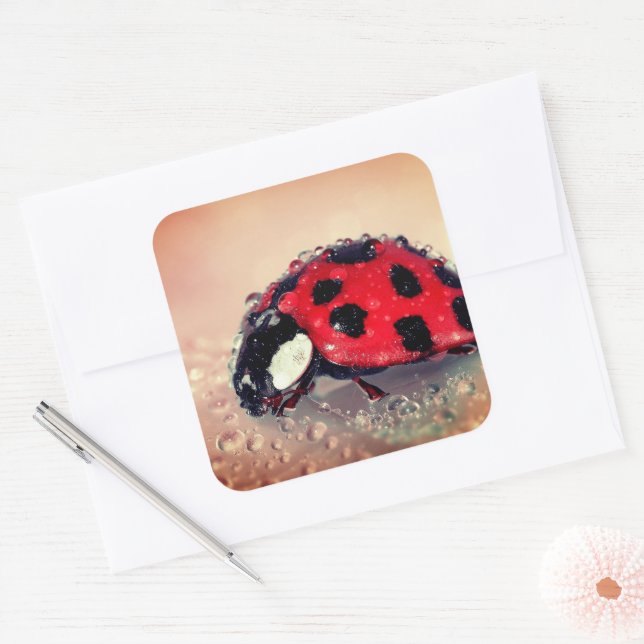 Sticker Carré Ladybug (Enveloppe)