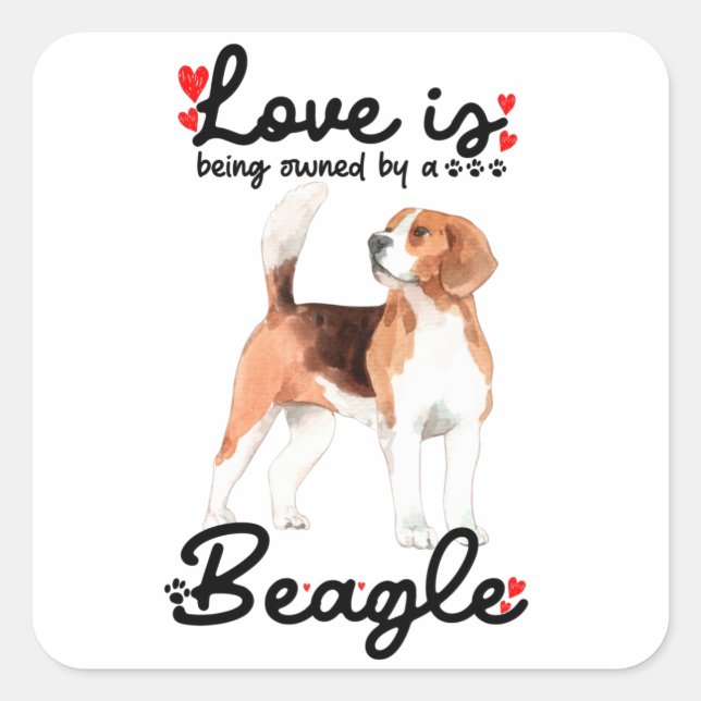 Sticker Carré L'Amour Est La Propriété D'Un Beagle (Devant)