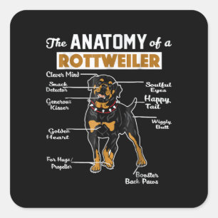 Sticker Carré L'Anatomie D'Un Rottweiler AMOUREUX DES CHIENS C