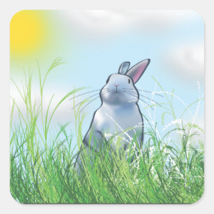 Sticker Carré Lapin dans l'herbe