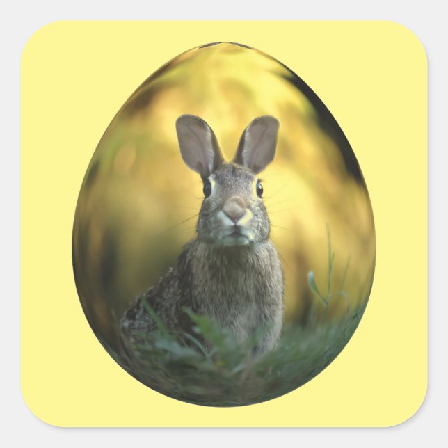 Sticker Carré Lapin Sur Oeuf (Devant)
