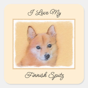 Sticker Carré Lapphund finlandais, Finlandais, Lapphund, Lapinko