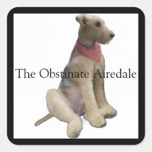Sticker Carré L'autocollant Airedale obstiné