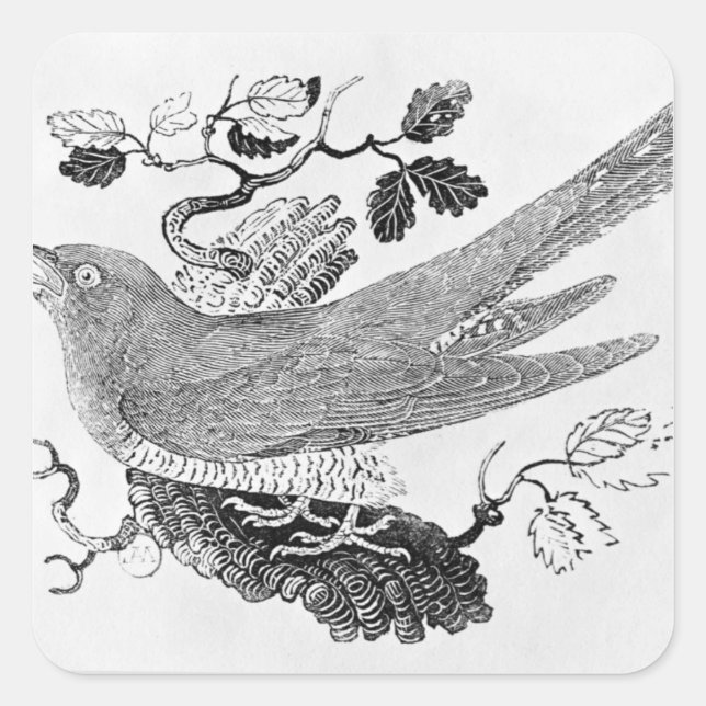 Sticker Carré Le cacao (Devant)