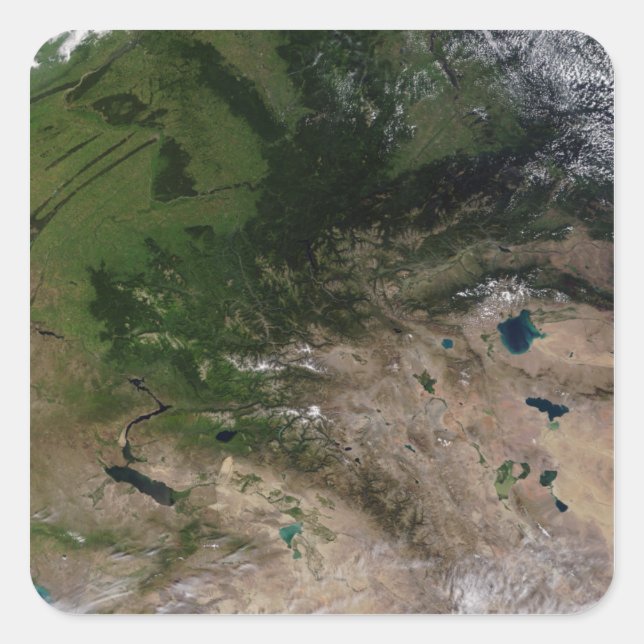 Sticker Carré Le changement de végétation (Devant)