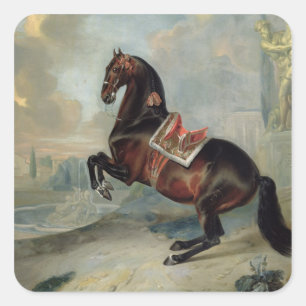Sticker Carré Le cheval de la baie sombre "Valido"