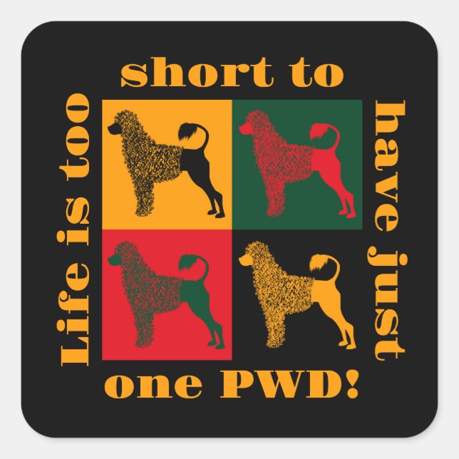 Sticker Carré Le chien d'eau portugais intelligent (Devant)