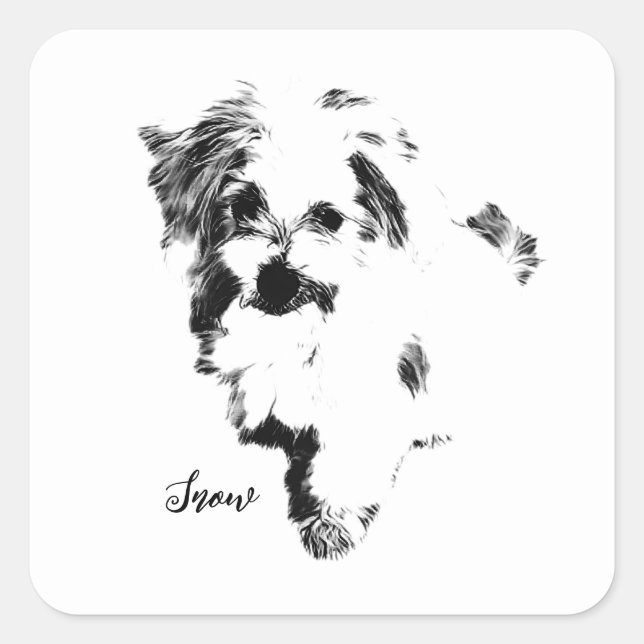 Sticker Carré Le chien maltais le plus mignon jamais (Devant)
