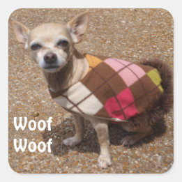 Sticker Carré Le chiwawa minuscule indique ouaf ouaf