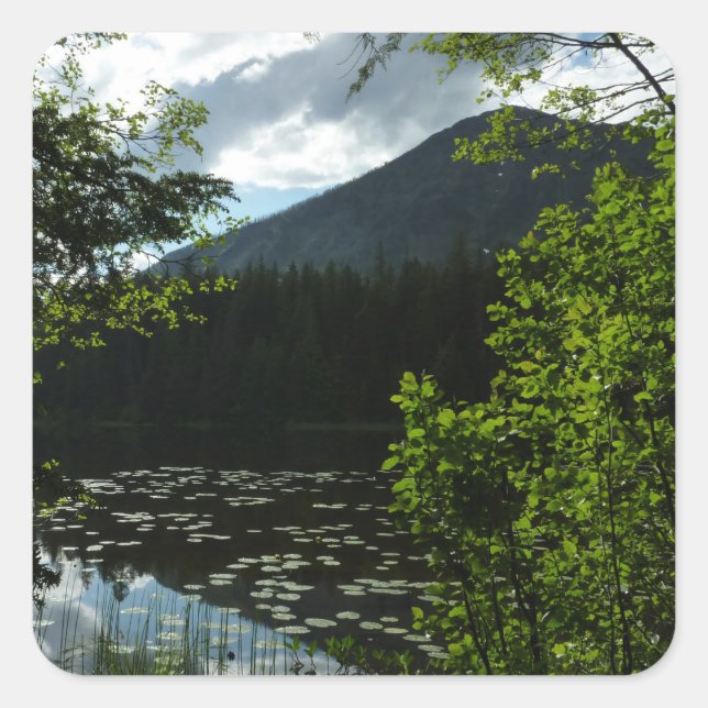 Sticker Carré Le lac Johns I du parc national des Glaciers (Devant)