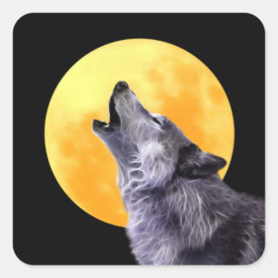 Sticker Carré Le loup hurle à la pleine lune