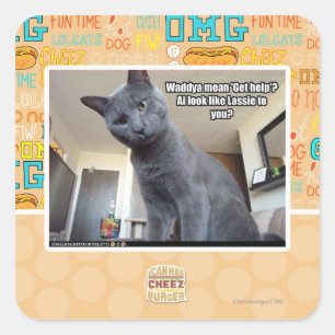 Sticker Carré Le moyen de Wadya "obtiennent l'aide" ?