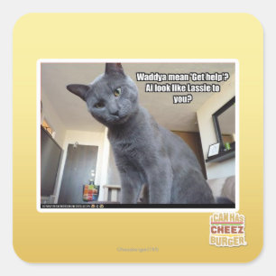 Sticker Carré Le moyen de Wadya "obtiennent l'aide" ?