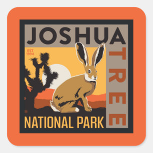 Sticker Carré Le Parc national de Joshua Tree   Jacklapin
