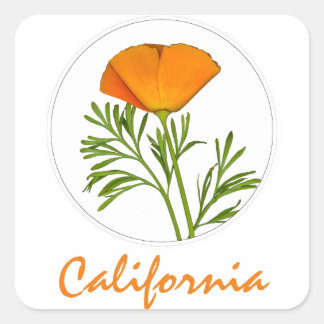 Sticker Carré Le pavot de Californie dans un cercle, Texte "Cali