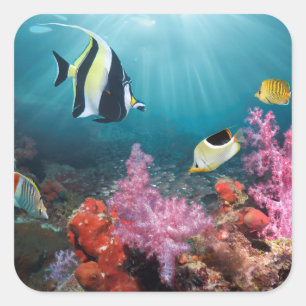 Sticker Carré Le Paysage De La Barrière De Corail Idole maure