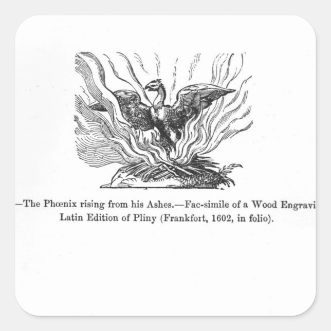 Sticker Carré Le Phénix se levant de ses cendres (Devant)