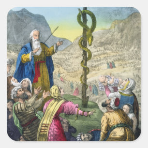 Sticker Carré Le serpent brésilien, d'une bible imprimée par Edw