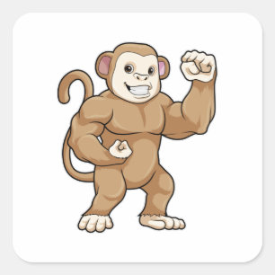 Sticker Carré Le singe comme culturiste au Bodybuilding