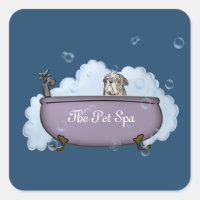 Le Spa pour animaux