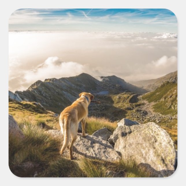 Sticker Carré Le voyage (Devant)