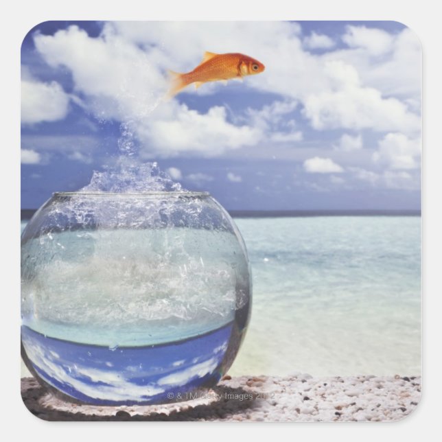 Sticker Carré Leap (Devant)