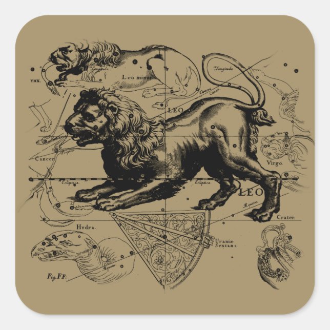 Sticker Carré Leo Constellation Map Hevelius 1690 sur Taupe (Devant)