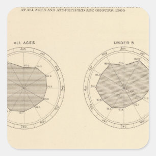 Sticker Carré Les 113 décès par le mois 1900
