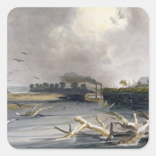 Sticker Carré Les accrocs (arbres submergés) sur le Missouri,