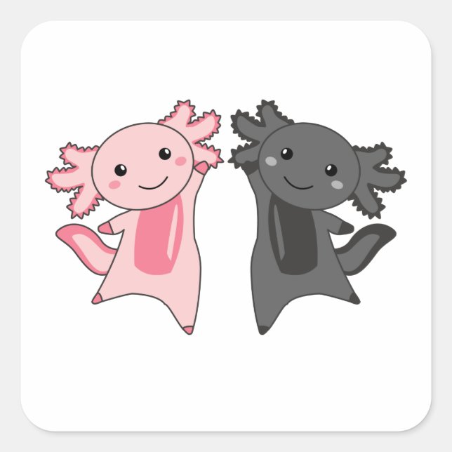 Sticker Carré Les Amateurs D'Axolotl Les Beaux Animaux Pour Les  (Devant)