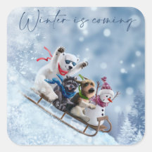 Les animaux descendent la montagne en traîneau