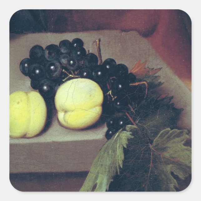 Sticker Carré Les Bacchus malades (Devant)