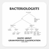 Les bactériologistes connaissent la classification