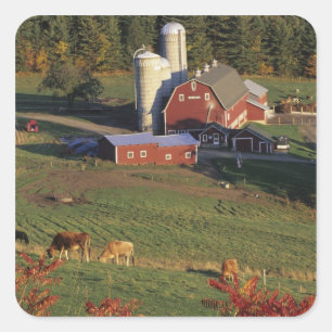 Sticker Carré Les Etats-Unis, Vermont, castagnole. Grange rouge