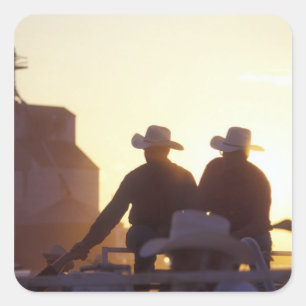 Sticker Carré Les Etats-Unis, Wyoming, bluffs de pin. Secousse