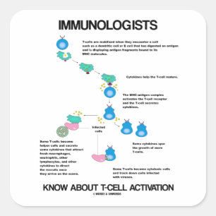Sticker Carré Les Immunologues connaissent l'activation des cell