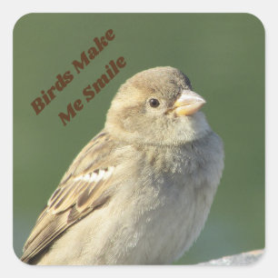 Sticker Carré Les Oiseaux Me Font Sourire Petit Bruant Brown
