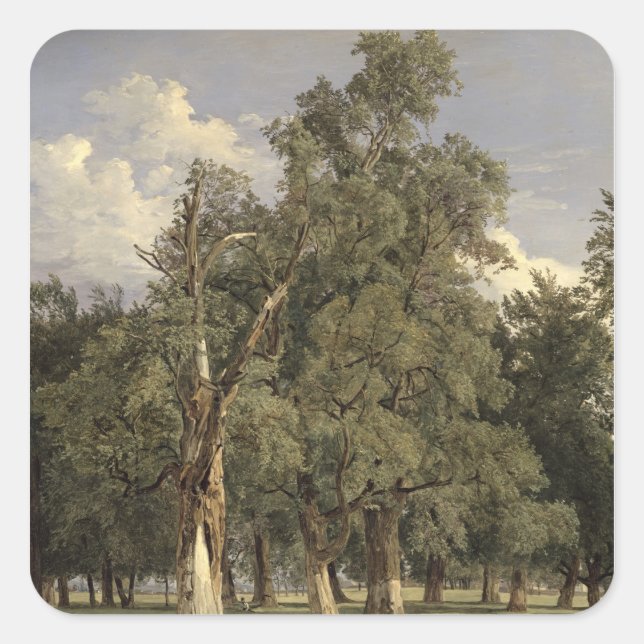 Sticker Carré Les ormes dans Prater, 1831 (Devant)