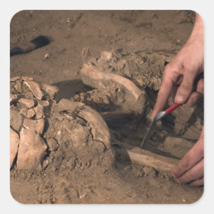 Sticker Carré Les restes humains