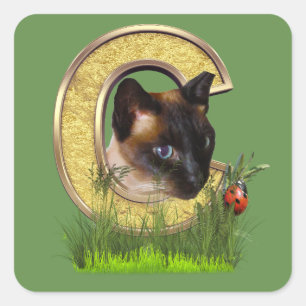 Sticker Carré Lettre C Siamese-Capital-Monogramme